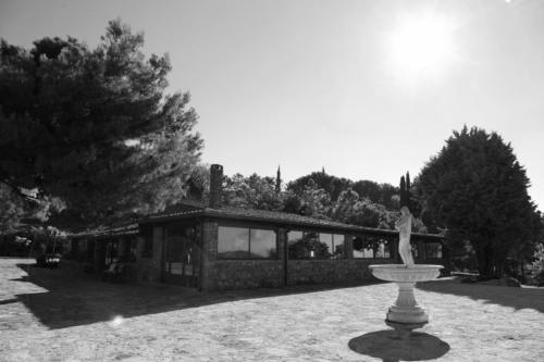 Tenuta Bosco SiciliaRistorazione e Eventi