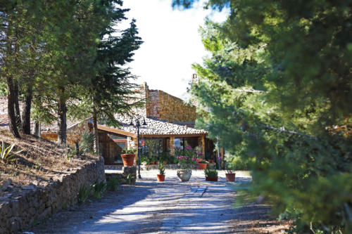 Tenuta Bosco SiciliaRistorazione e Eventi
